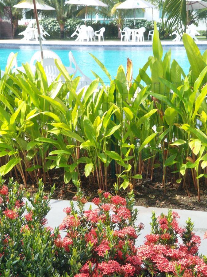 Palm Village Acqua - Lindo - Em frente à piscina - Porto de Galinhas Apto 103 B9 - Térreo Extérieur photo